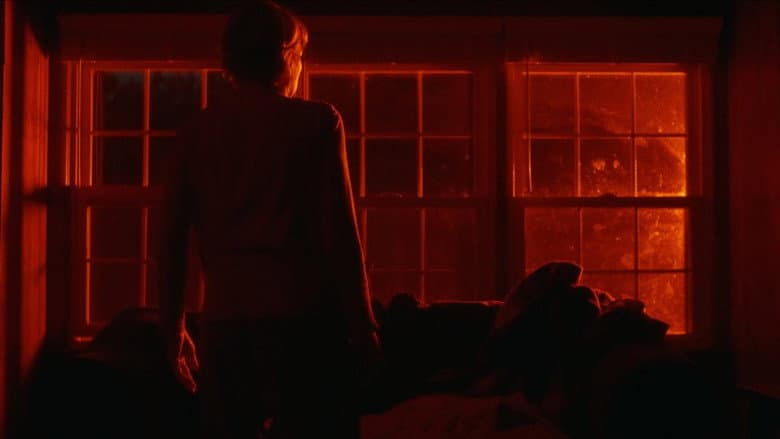 Backdrop from We Wanted Children