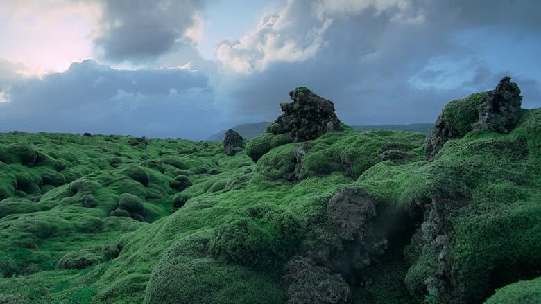 Backdrop from Voyage of Time: The IMAX Experience