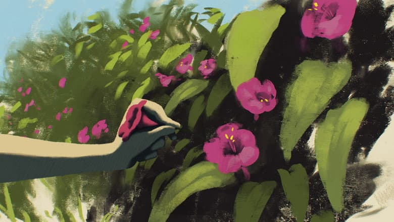 Backdrop from The Four O'clock Flower