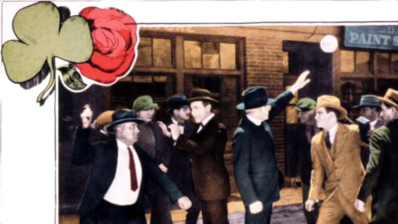 Backdrop from The Shamrock and the Rose