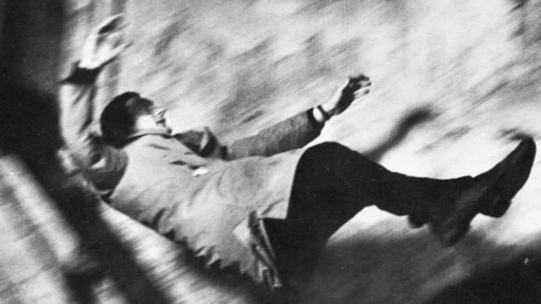 Backdrop from Obscure Pleasures: A Portrait of Walerian Borowczyk