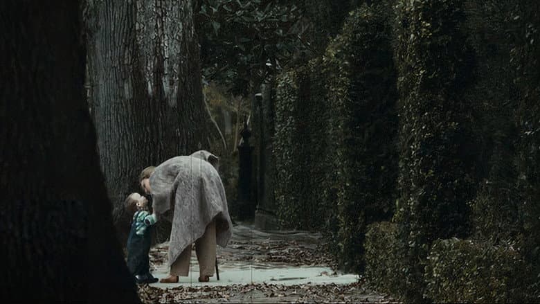 Backdrop from The Curious Birth of Benjamin Button