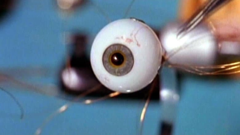 Backdrop from Spy in Your Eye