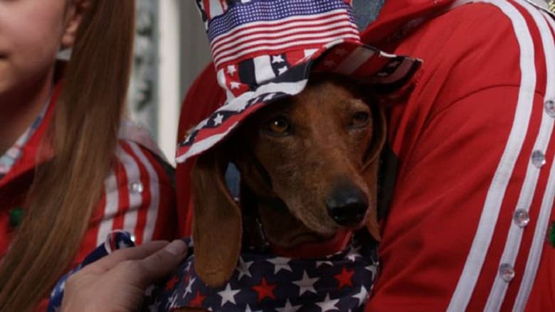 Backdrop from Wiener Dog Internationals