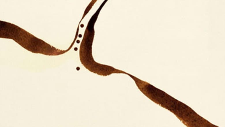 Backdrop from The Aroma of Tea