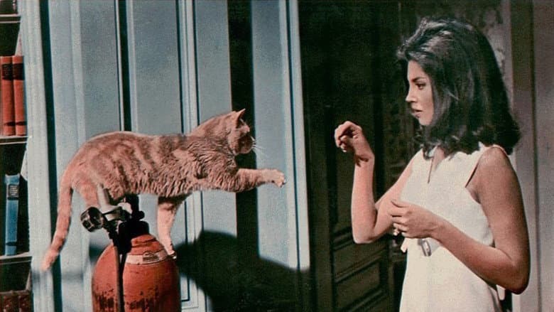 Backdrop from Eye of the Cat