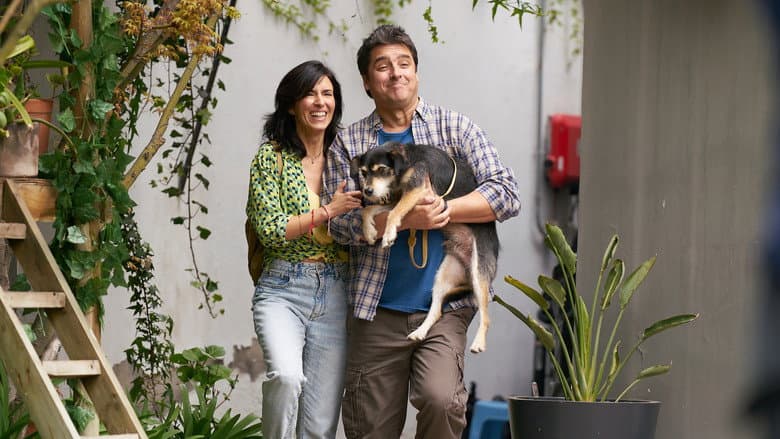 Backdrop from Dog Life