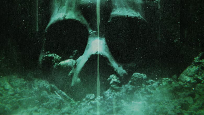 Backdrop from Transhuman