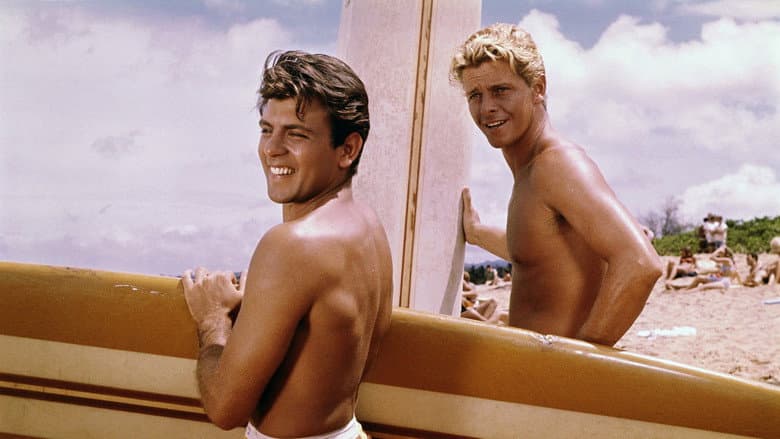 Backdrop from Ride the Wild Surf