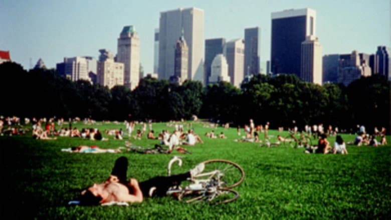 Backdrop from Central Park
