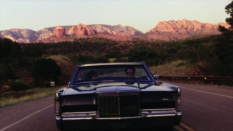 Backdrop from Trouble Bound