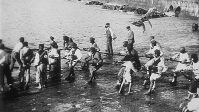Backdrop from Levée de filets de pêche