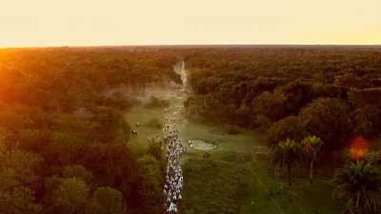 Кадр із фільму «Pantanal: The Good Innocence of Our Origins»