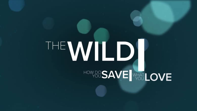 Backdrop from The Wild
