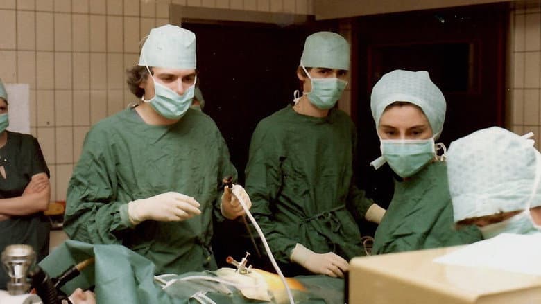 Backdrop from IVF in België