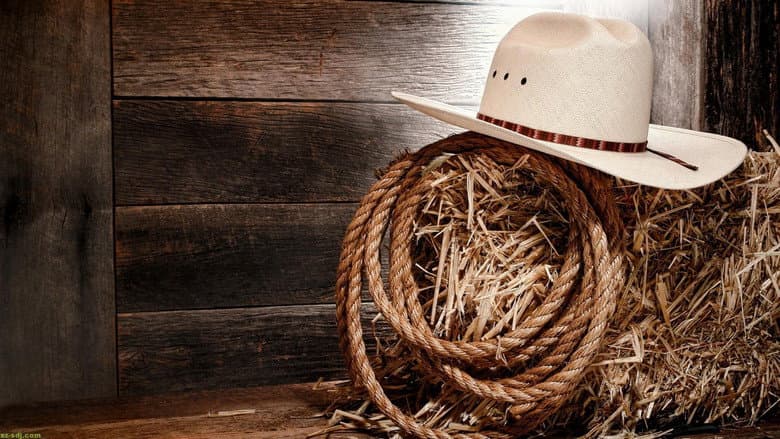 Backdrop from Women of Country Music: Glamour girls