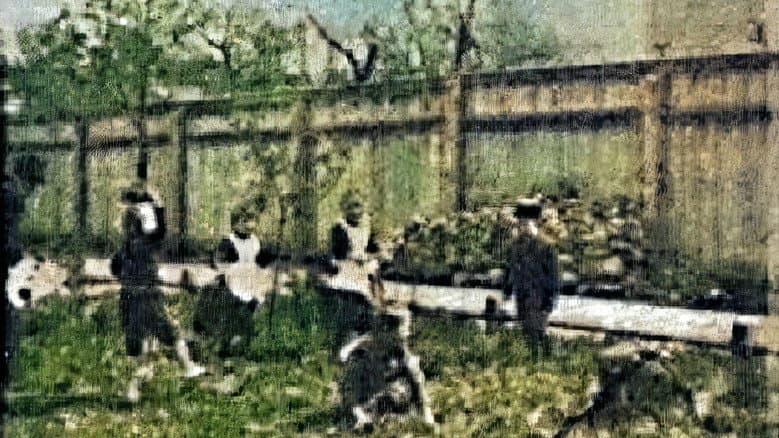 Backdrop from Children Playing in the Garden