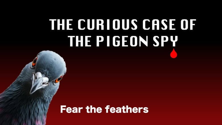Кадр із фільму «The Curious Case of the Pigeon Spy»