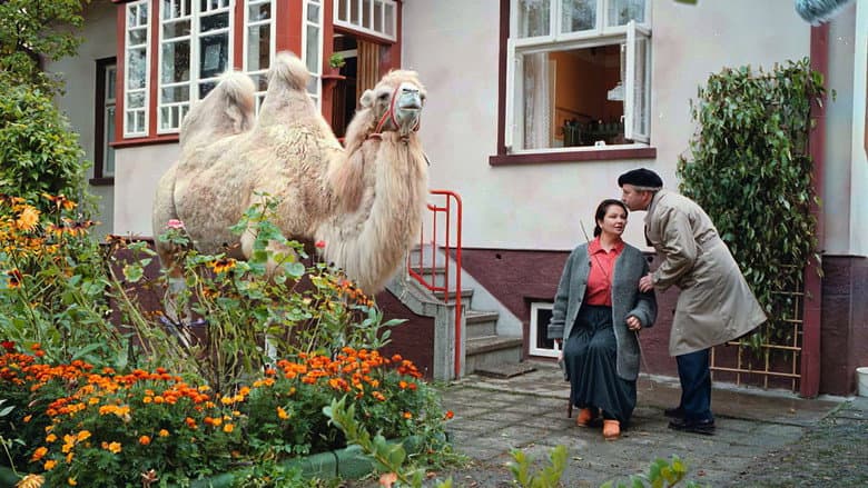 Кадр із фільму «Велика тварина»