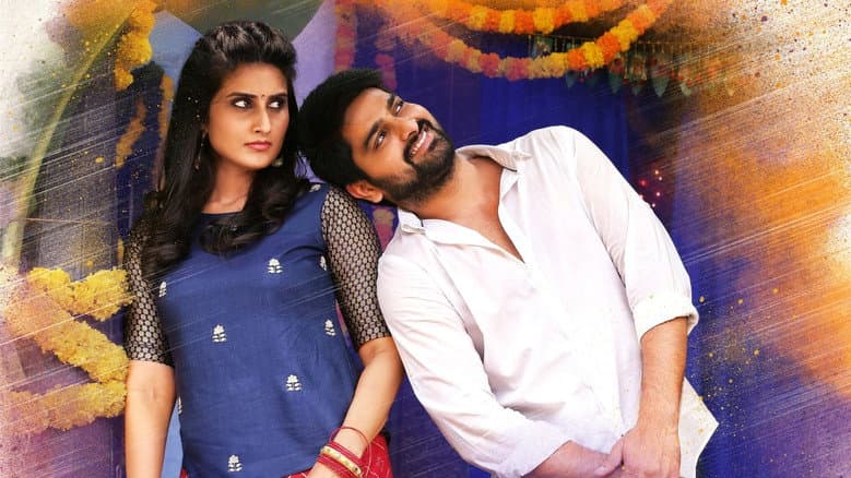 Backdrop from Ammammagarillu