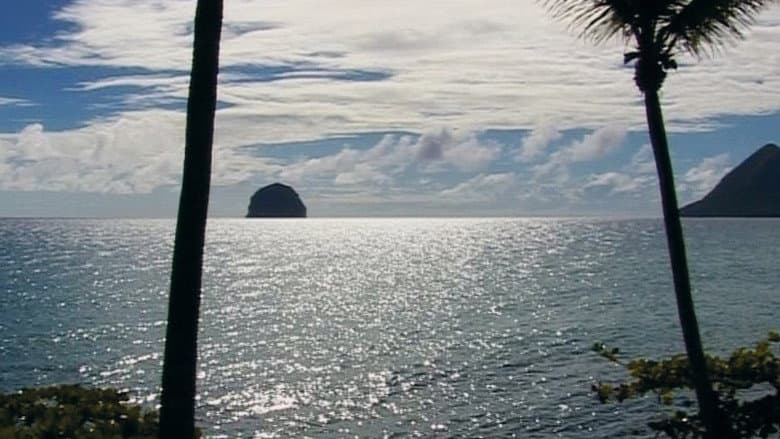 Backdrop from Édouard Glissant: One World in Relation