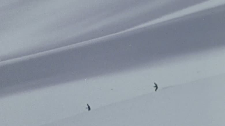 Backdrop from Winter Fever
