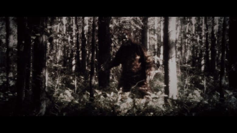 Backdrop from Secrets of the Sasquatch