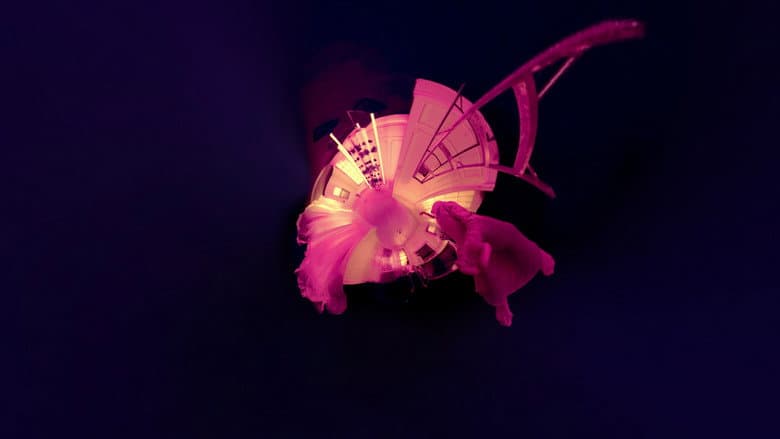 Backdrop from Through You