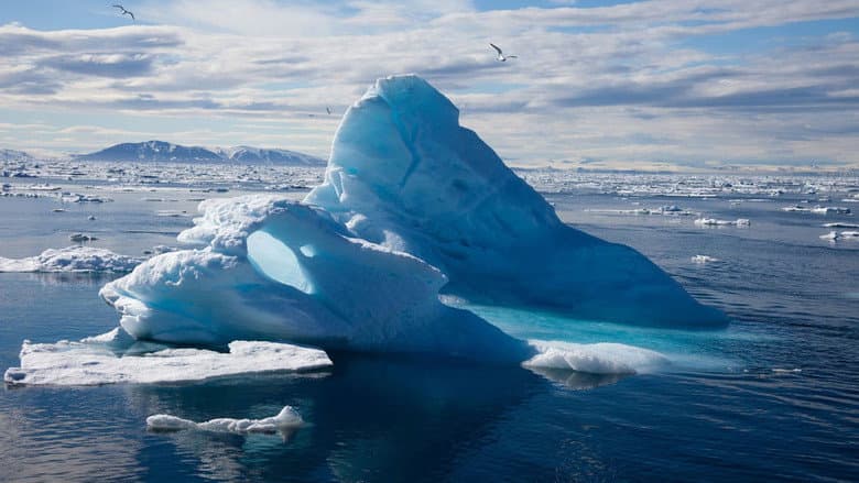Backdrop from To the Arctic 3D