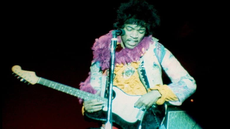 Backdrop from Monterey Pop