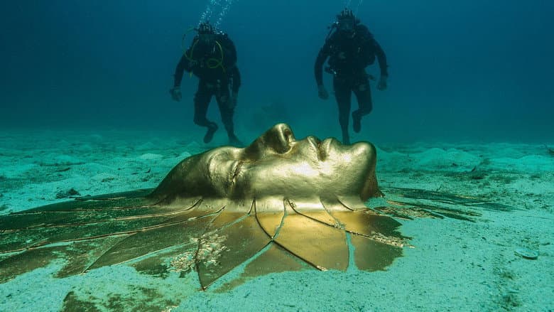 Backdrop from Treasures from the Wreck of the Unbelievable