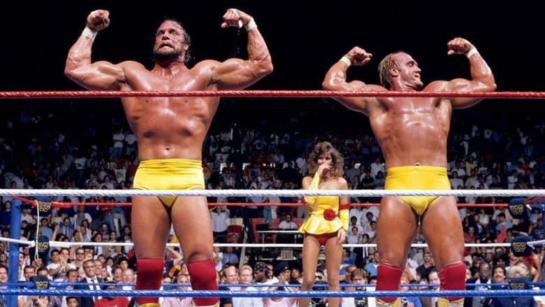 Backdrop from WWE SummerSlam 1988
