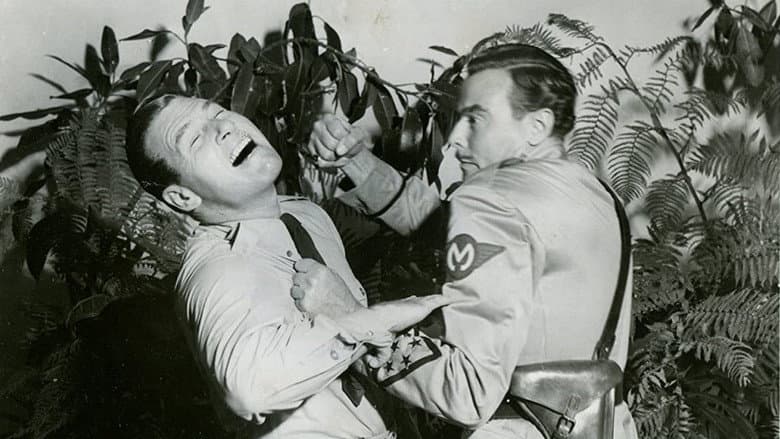 Backdrop from Forced Landing