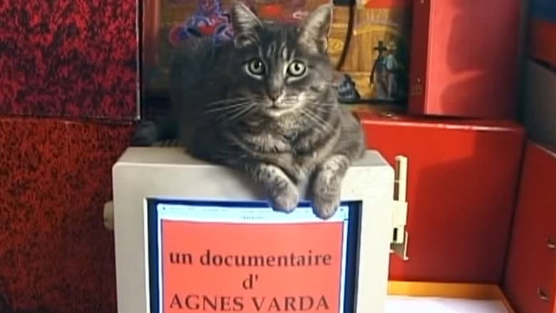 Backdrop from Tribute to Zgougou the Cat