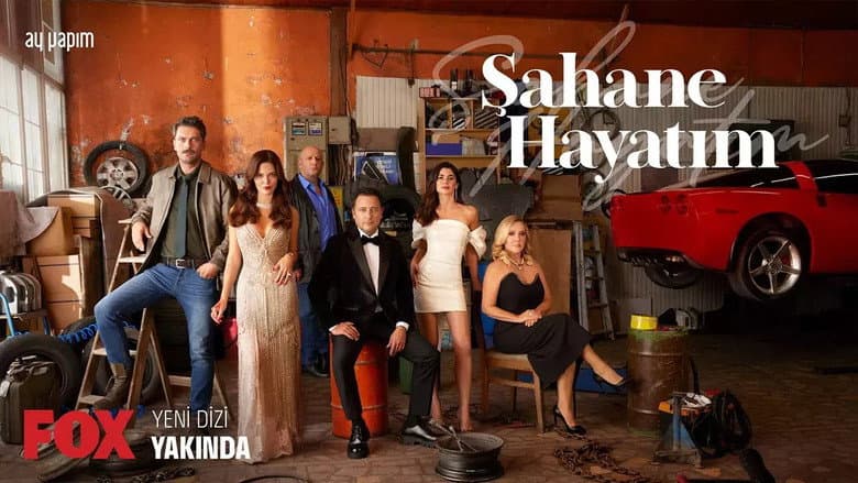 Backdrop from Sahane Hayatim