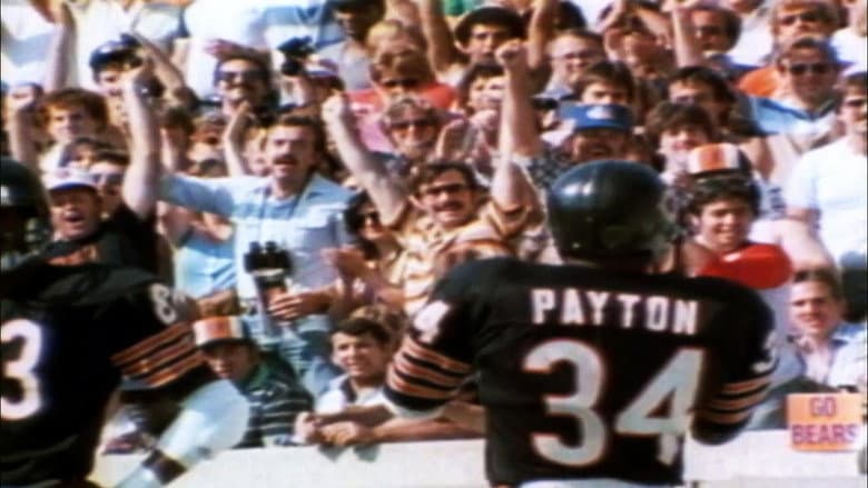 Backdrop from Remembering Chicago: The '70s and '80s