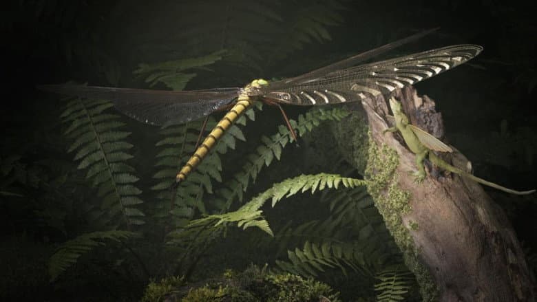 Backdrop from Mysterious Origins of Insects