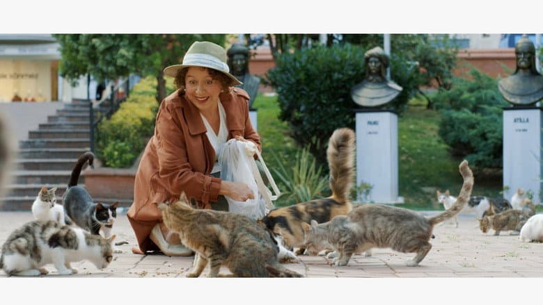 Кадр із фільму «Some Cats of the Neighborhood»