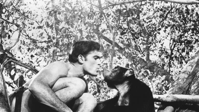 Backdrop from Tarzan and the Valley of Gold
