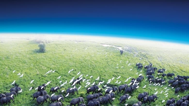 Backdrop from Planet Earth