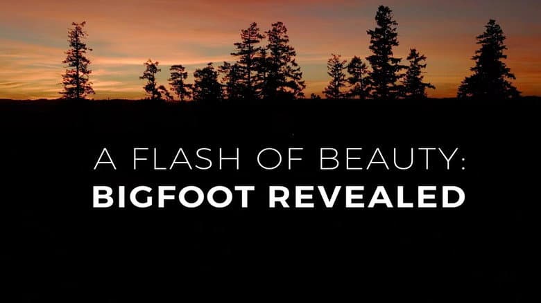 Backdrop from A Flash of Beauty: Bigfoot Revealed