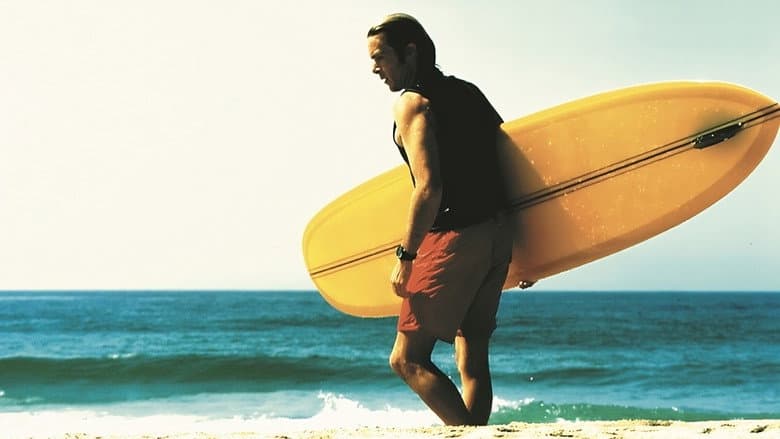 Backdrop from Single Fin Yellow