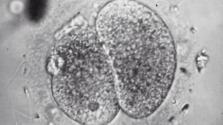 Backdrop from Test Tube Babies