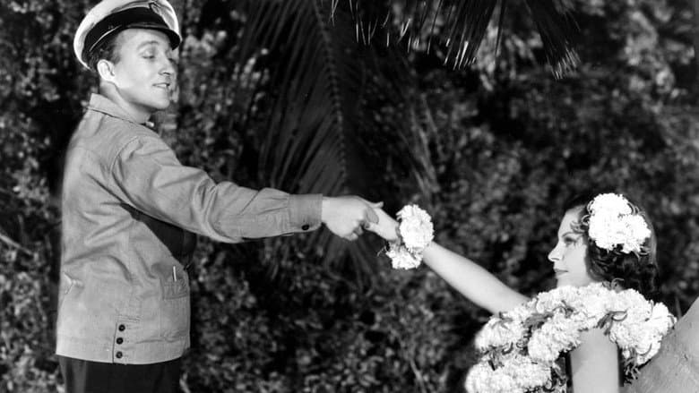 Backdrop from Waikiki Wedding