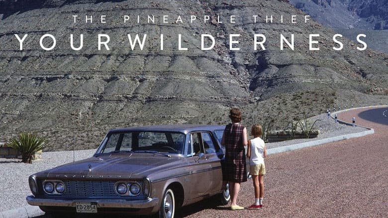 Backdrop from The Pineapple Thief: Your Wilderness