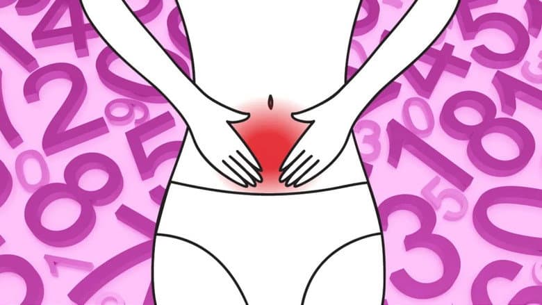 Backdrop from All Women Have Periods