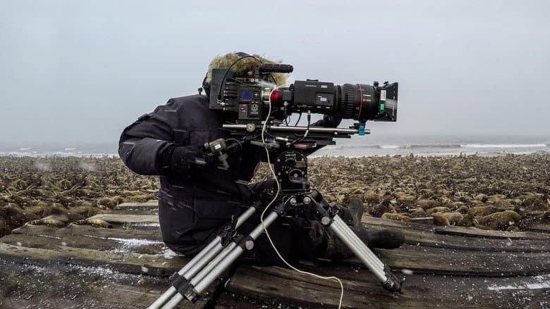Backdrop from Our Planet: Behind the Scenes