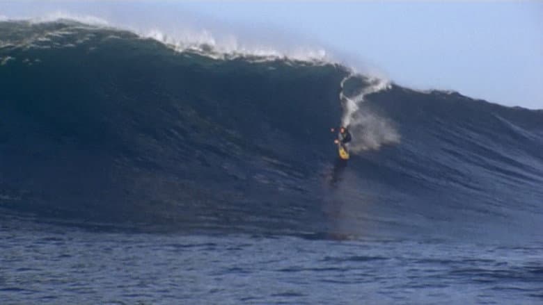 Backdrop from Billabong Odyssey