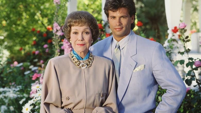Backdrop from Falcon Crest