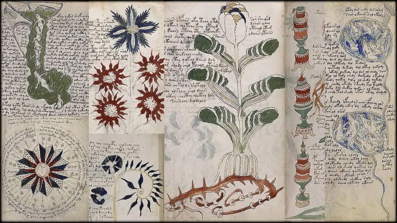 Backdrop from The Voynich Code: The World's Most Mysterious Manuscript
